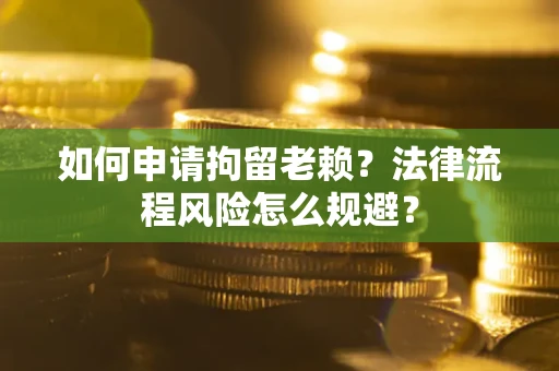 武汉如何申请拘留老赖？法律流程风险怎么规避？