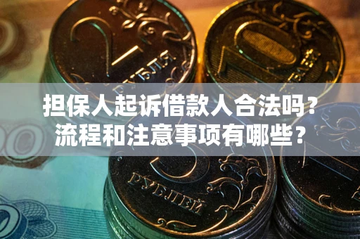 武汉担保人起诉借款人合法吗？流程和注意事项有哪些？