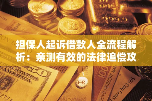 武汉担保人起诉借款人全流程解析：亲测有效的法律追偿攻略