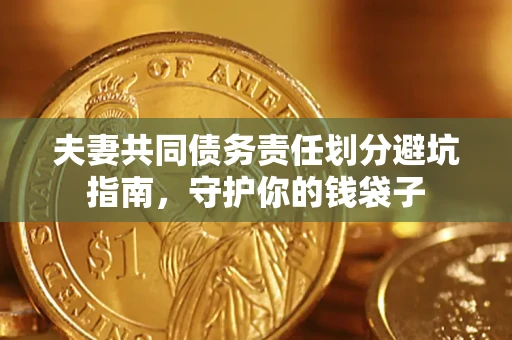 武汉夫妻共同债务责任划分避坑指南，守护你的钱袋子