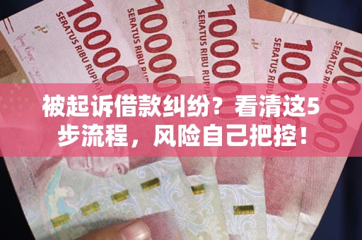 武汉被起诉借款纠纷？看清这5步流程，风险自己把控！