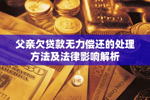 武汉父亲欠贷款无力偿还的处理方法及法律影响解析