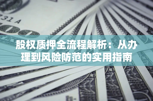武汉股权质押全流程解析：从办理到风险防范的实用指南